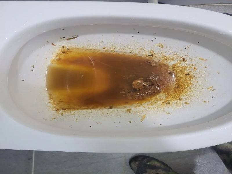 기흥 변기막힘 작업사례 3