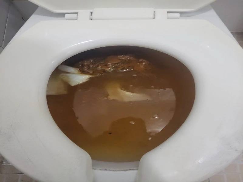 기흥 변기막힘 작업사례 8