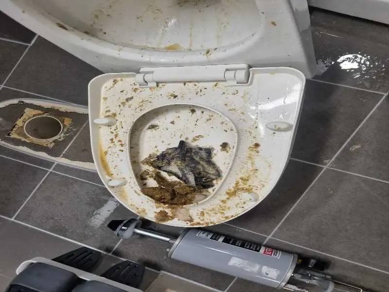기흥 변기막힘 작업사례 17