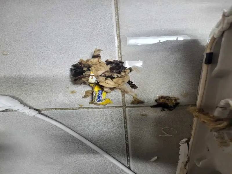 기흥 변기 이물질 제거 사례 3